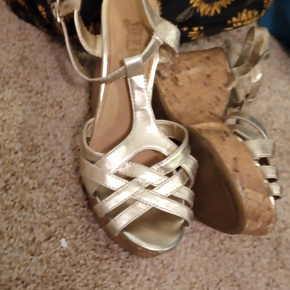 Wedge's